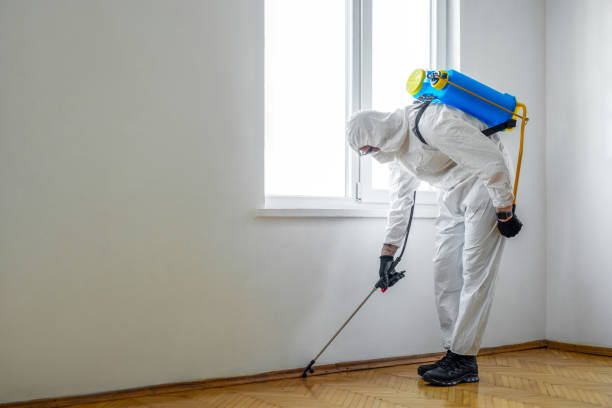 Best Real Estate Pest Inspections  in Ada, MN